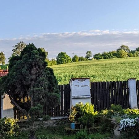 Chalupa U Rybnika Strehom Dolni Bousov Exterior photo