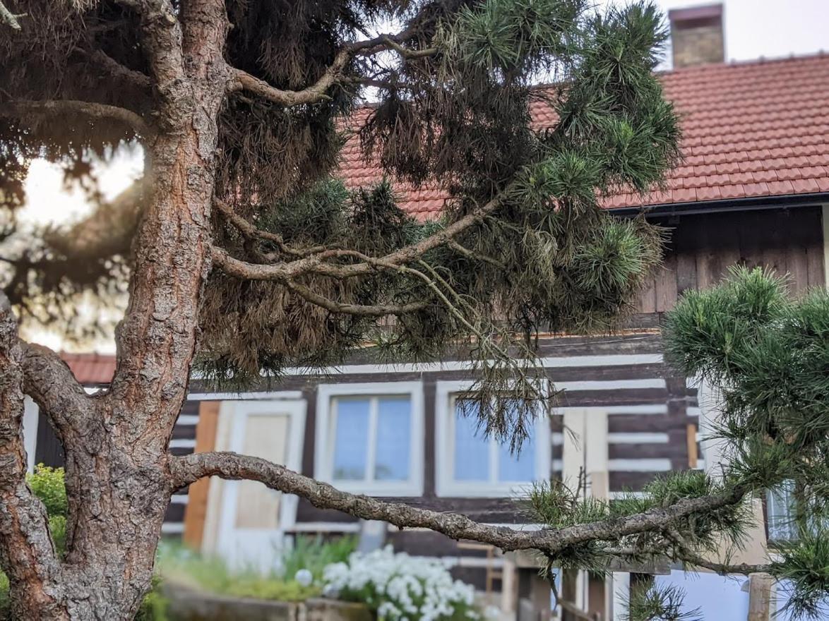 Chalupa U Rybnika Strehom Dolni Bousov Exterior photo