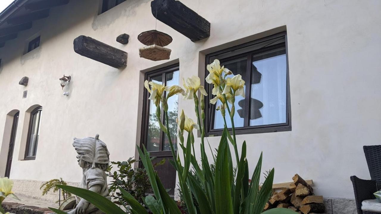 Chalupa U Rybnika Strehom Dolni Bousov Exterior photo